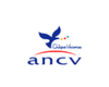 logo_ancv-100x80